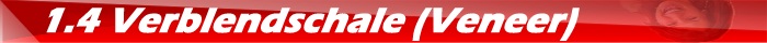 1.4 Verblendschale (Veneer)